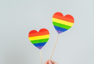 KOVi ülesanded LGBT+ tegevuskavas