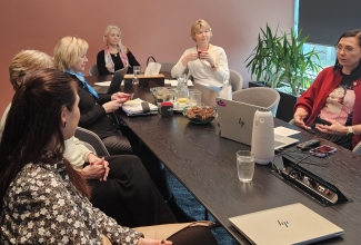 Kohtumine Persona arendajatega